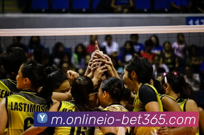 bet365平台生态图